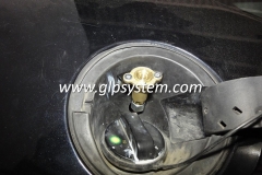 Ford_Focus__glp_autogas_1-1